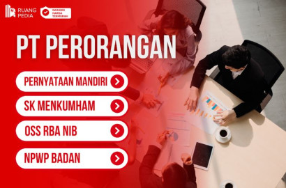 PT Perorangan